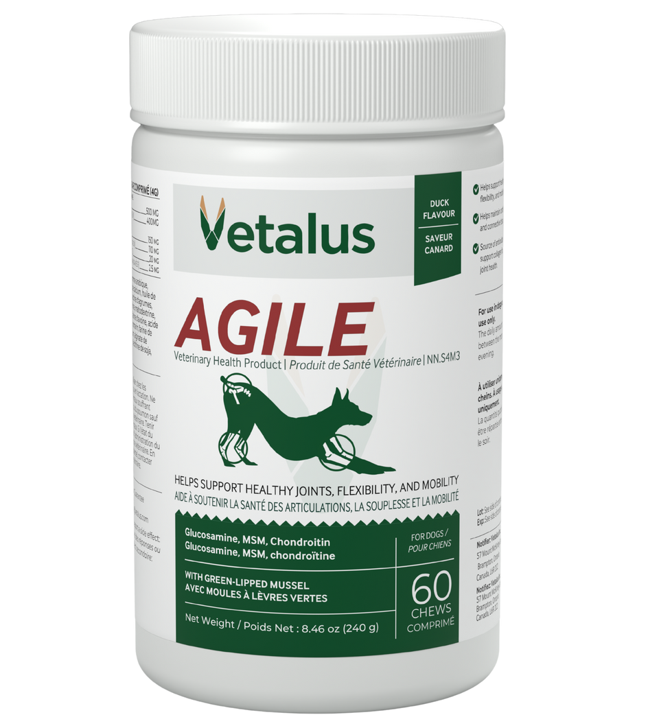 Vetalus Agile hip and joint soft chews for dogs, 60-chew jar, duck flavour