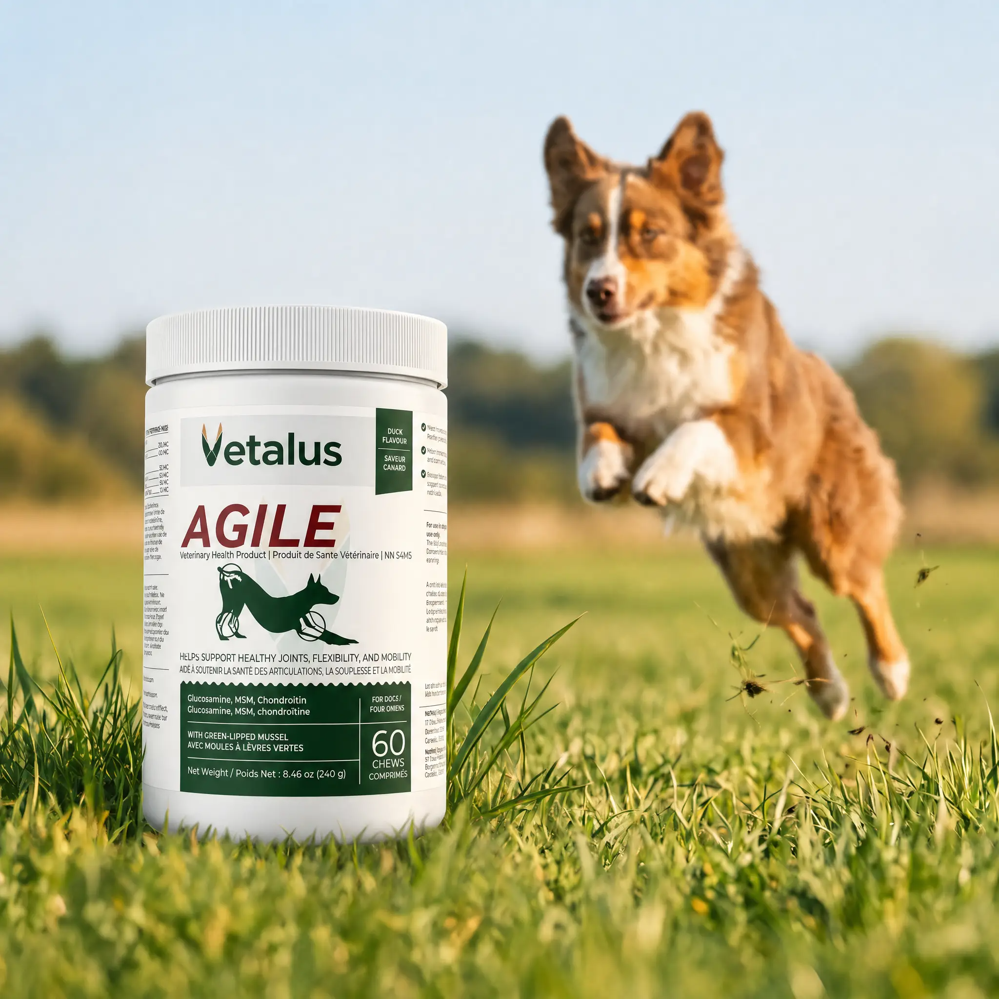 Agile