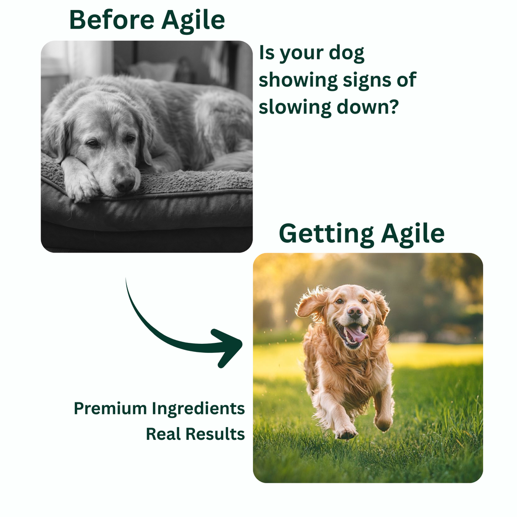 Agile