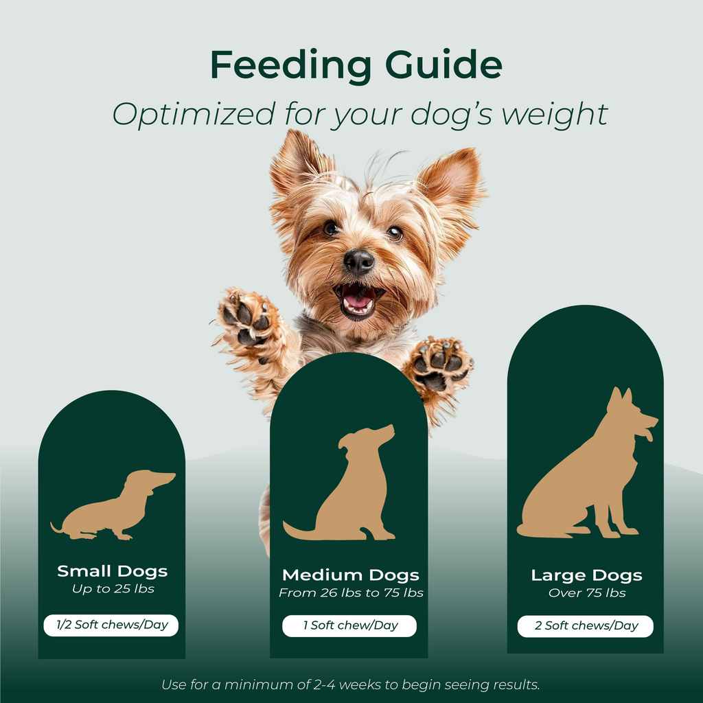 Canine Essentials