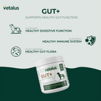 GUT+