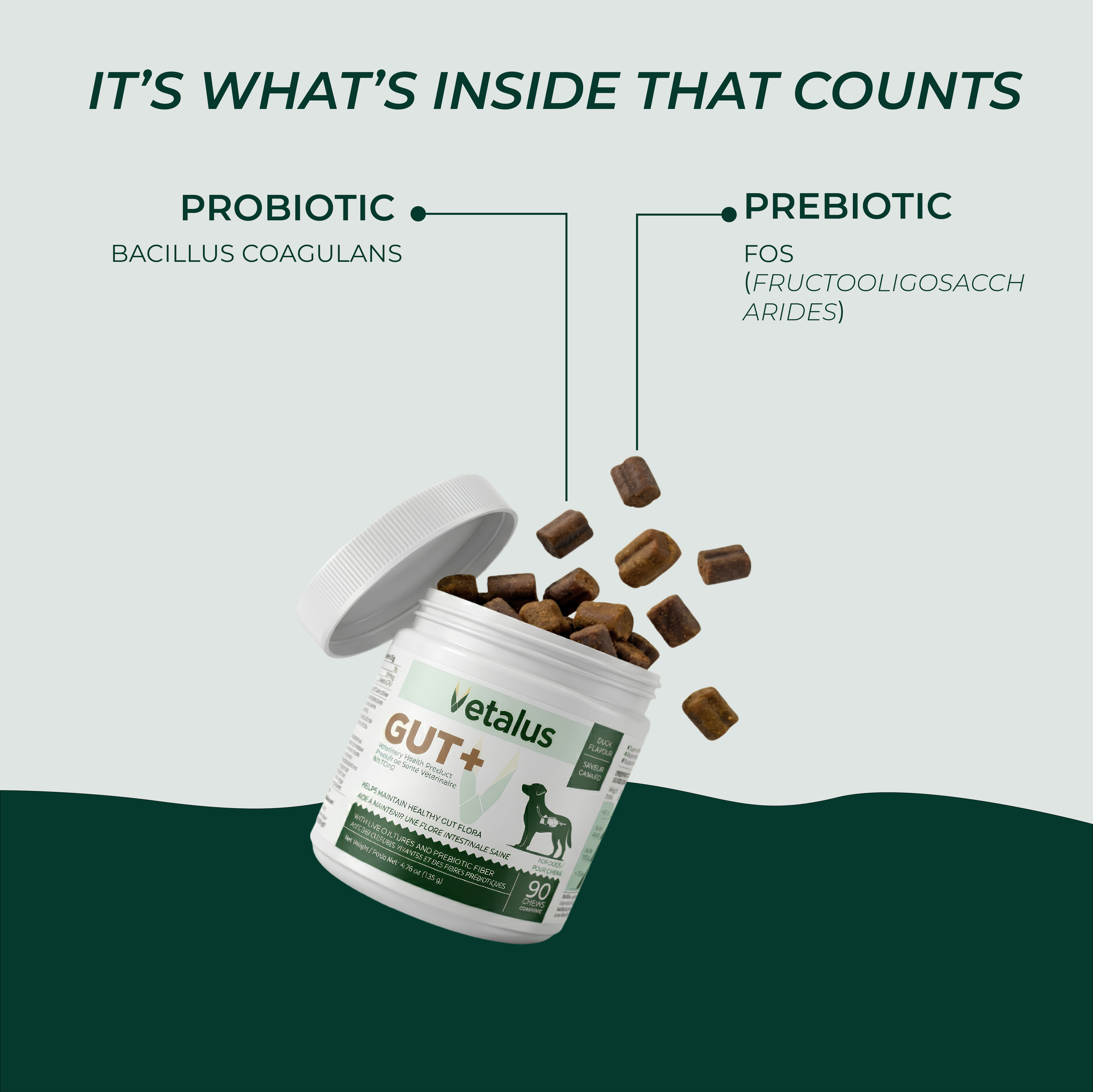 GUT+