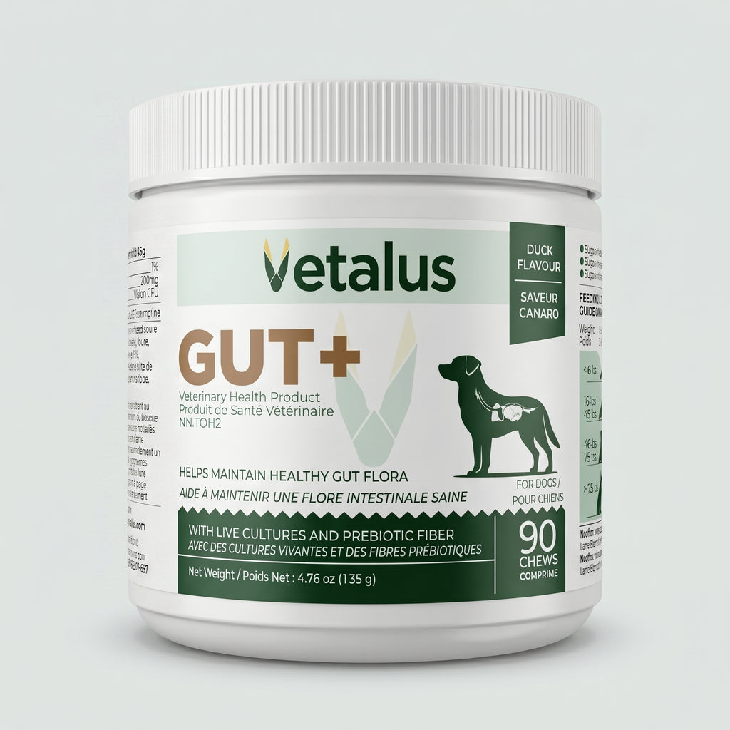 GUT+