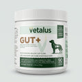 GUT+