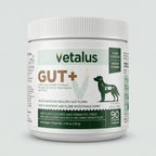 GUT+