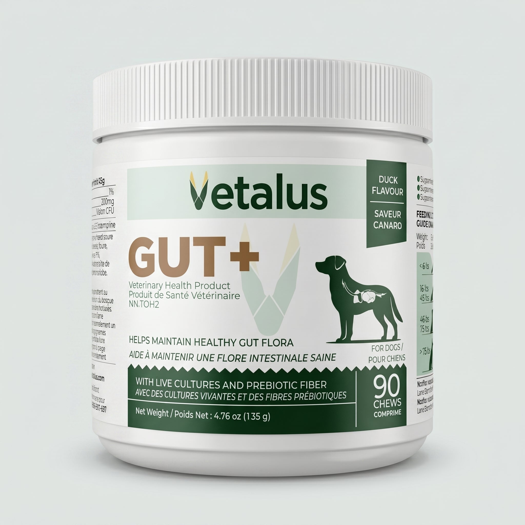 GUT+