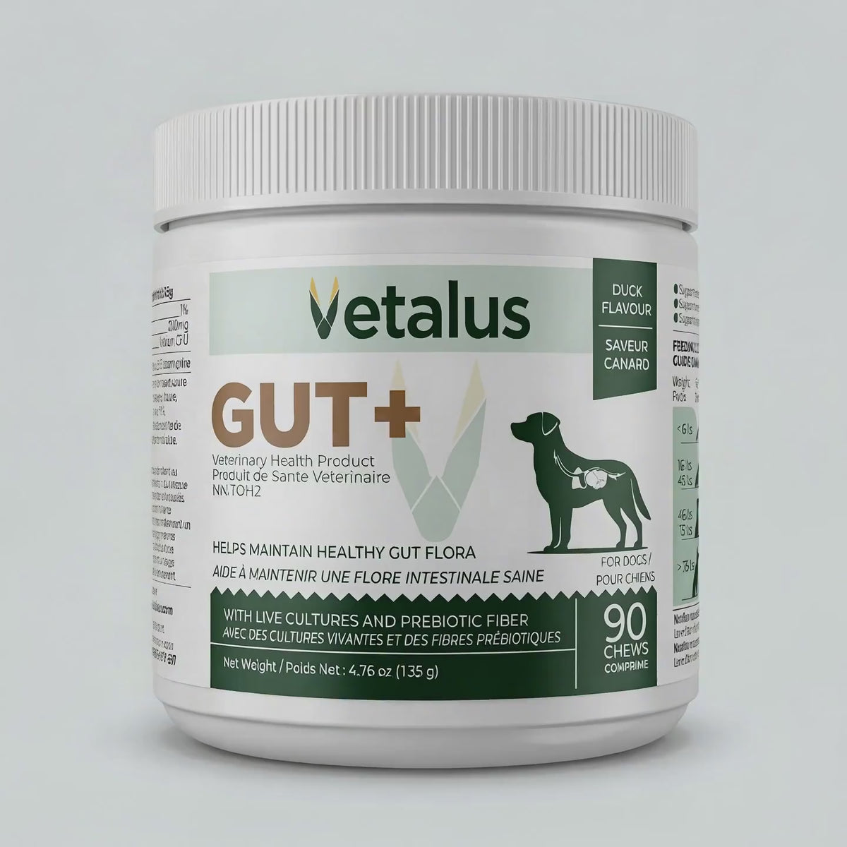 GUT+